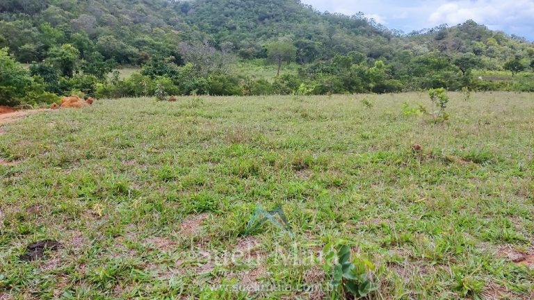 FAZENDA 66,5 ALQ PERTINHO DO ASFALTO – MINAÇU/GO FAZENDA 66,5 ALQ PERTINHO DO ASFALTO – MINAÇU/GO