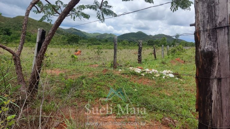 FAZENDA 66,5 ALQ PERTINHO DO ASFALTO – MINAÇU/GO FAZENDA 66,5 ALQ PERTINHO DO ASFALTO – MINAÇU/GO