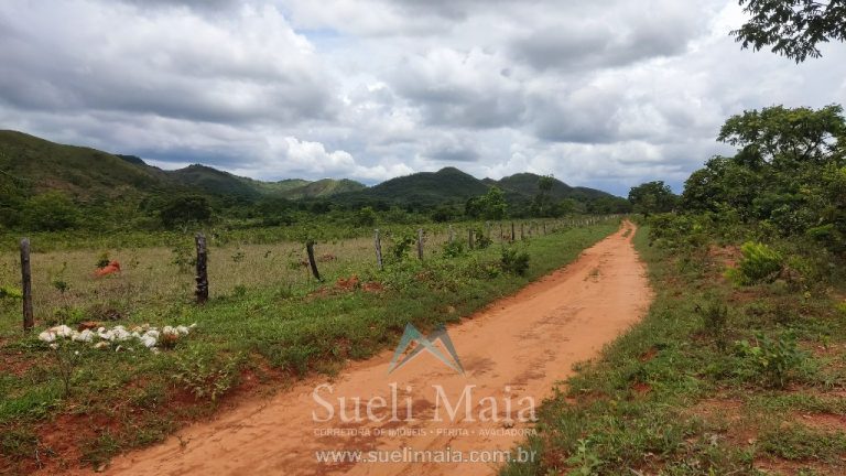 FAZENDA 66,5 ALQ PERTINHO DO ASFALTO – MINAÇU/GO FAZENDA 66,5 ALQ PERTINHO DO ASFALTO – MINAÇU/GO