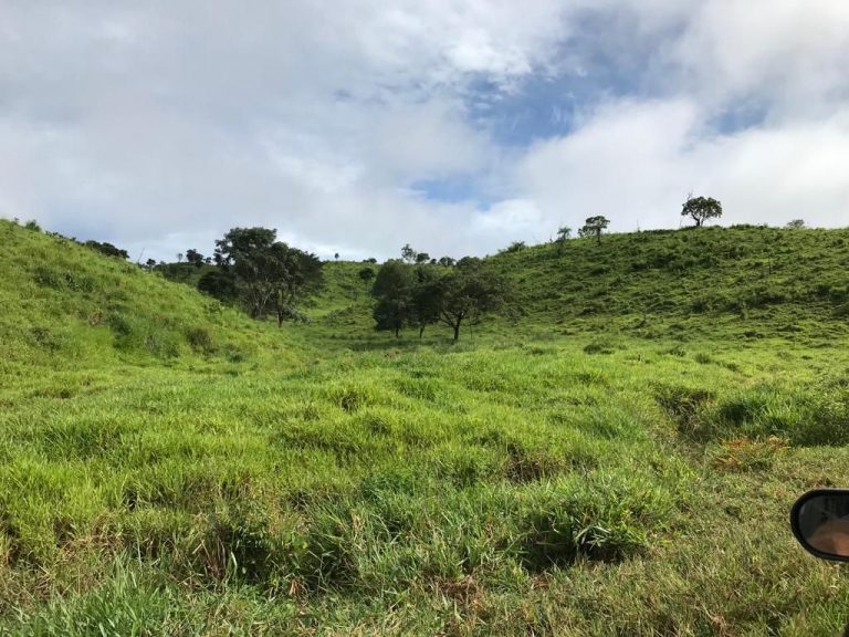 FAZENDA 66,5 ALQ PERTINHO DO ASFALTO – MINAÇU/GO FAZENDA 66,5 ALQ PERTINHO DO ASFALTO – MINAÇU/GO