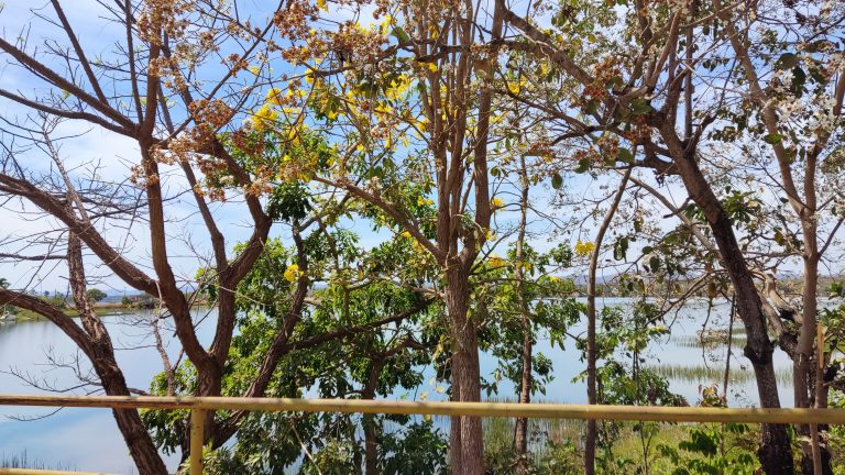 TERRENO 1375 m² AO LADO DA CASCATA – PRAIA DO SOL