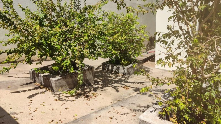 CASA NA AV MARANHÃO – TODA REFORMADA CASA NA AV MARANHÃO – TODA REFORMADA