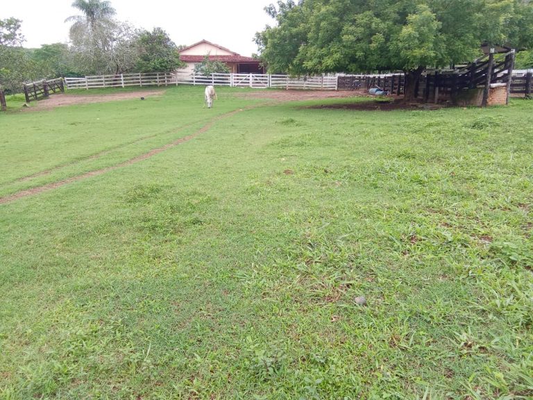 FAZENDA 81 ALQ. (392HA) MINAÇU/GO FAZENDA 81 ALQ. (392HA) MINAÇU/GO