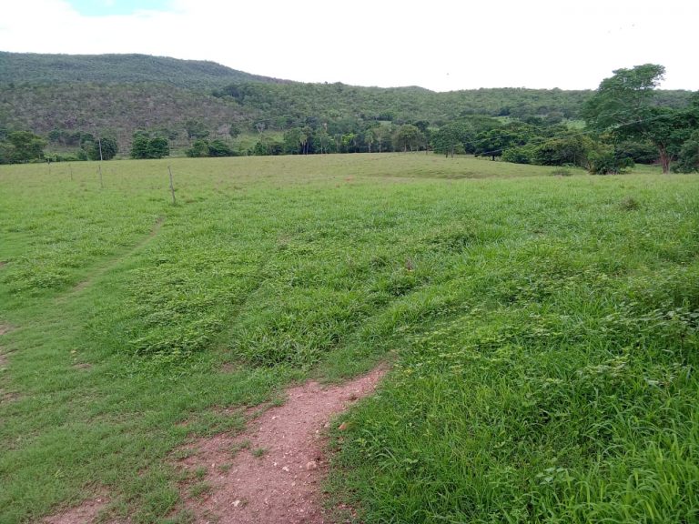FAZENDA 81 ALQ. (392HA) MINAÇU/GO FAZENDA 81 ALQ. (392HA) MINAÇU/GO