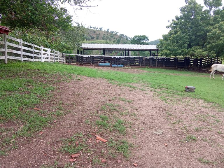 FAZENDA 81 ALQ. (392HA) MINAÇU/GO FAZENDA 81 ALQ. (392HA) MINAÇU/GO