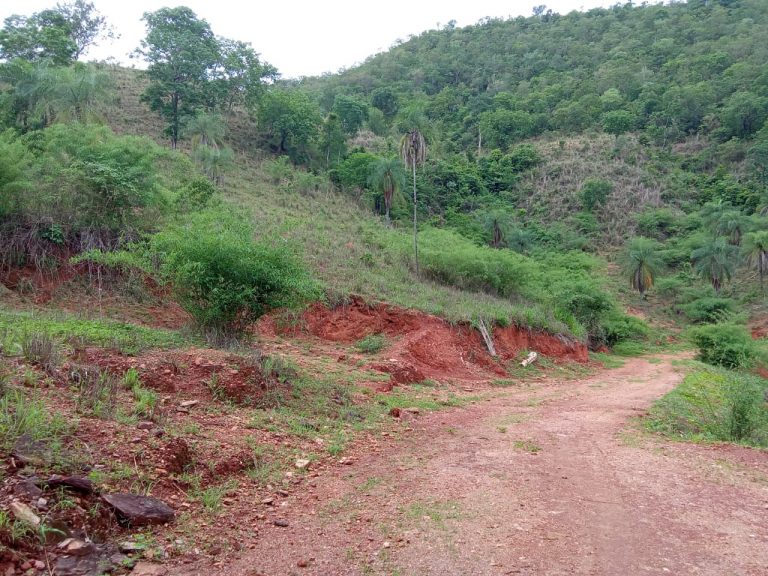 FAZENDA 81 ALQ. (392HA) MINAÇU/GO FAZENDA 81 ALQ. (392HA) MINAÇU/GO