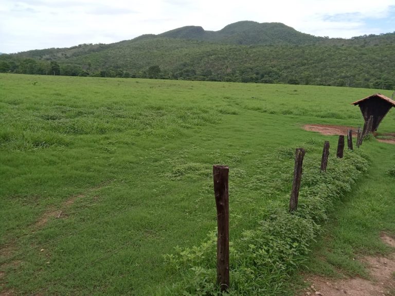FAZENDA 81 ALQ. (392HA) MINAÇU/GO FAZENDA 81 ALQ. (392HA) MINAÇU/GO