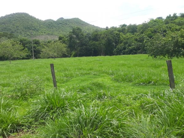 SÍTIO 15,39 ALQ. – CASA BOA, REPRESA E NASCENTE DE ÁGUA MORNA