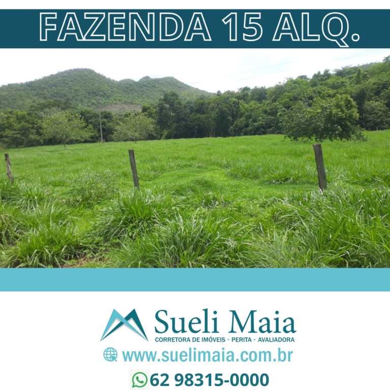 SÍTIO 15,39 ALQ. – CASA BOA, REPRESA E NASCENTE DE ÁGUA MORNA
