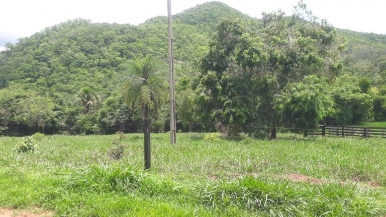 SÍTIO 15,39 ALQ. – CASA BOA, REPRESA E NASCENTE DE ÁGUA MORNA