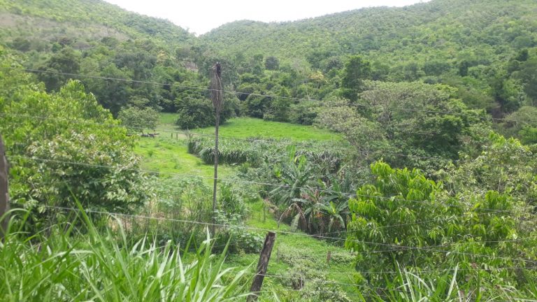 SÍTIO 15,39 ALQ. – CASA BOA, REPRESA E NASCENTE DE ÁGUA MORNA