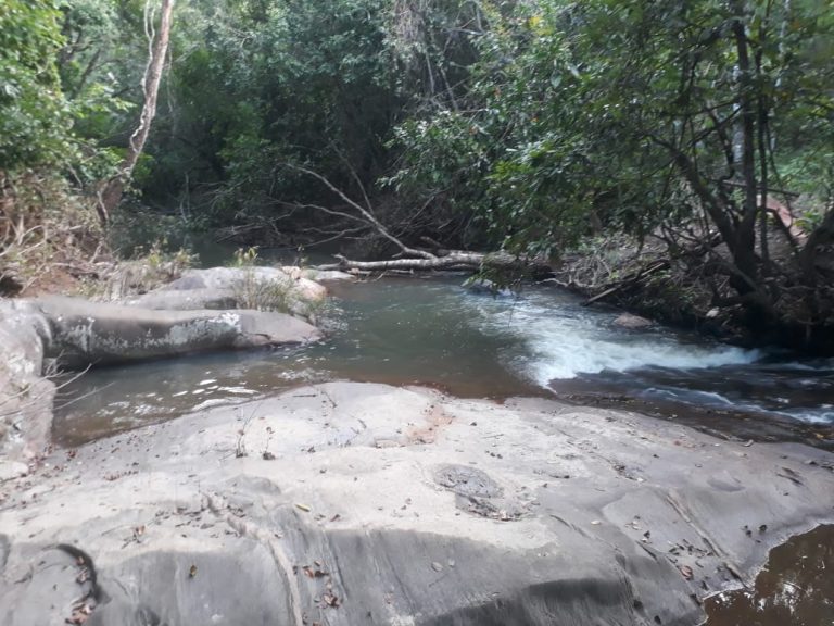 SÍTIO 15,39 ALQ. – CASA BOA, REPRESA E NASCENTE DE ÁGUA MORNA
