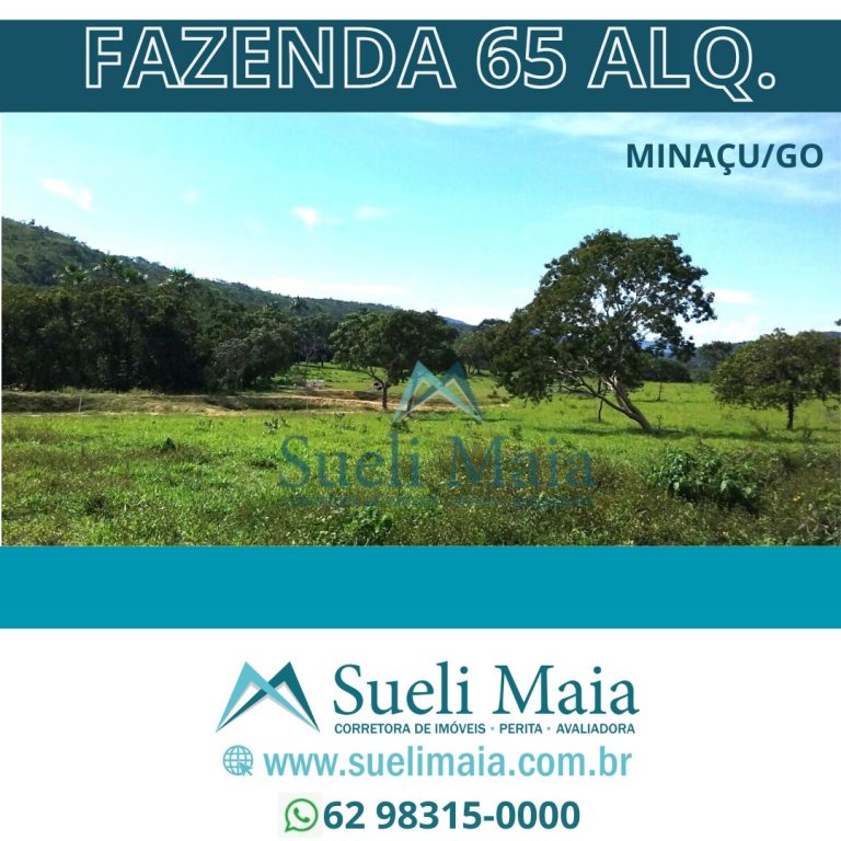 FAZENDA 65 ALQ. A 2KM DO ASFALTO – MINAÇU/GO