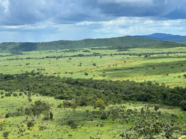 LINDA FAZENDA DE 1400 ALQ  NO TOCANTINS – PRÓX. A GOIÁS