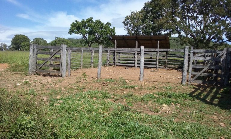 FAZENDA 65 ALQ. A 2KM DO ASFALTO – MINAÇU/GO