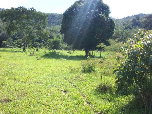 FAZENDA 65 ALQ. A 2KM DO ASFALTO – MINAÇU/GO