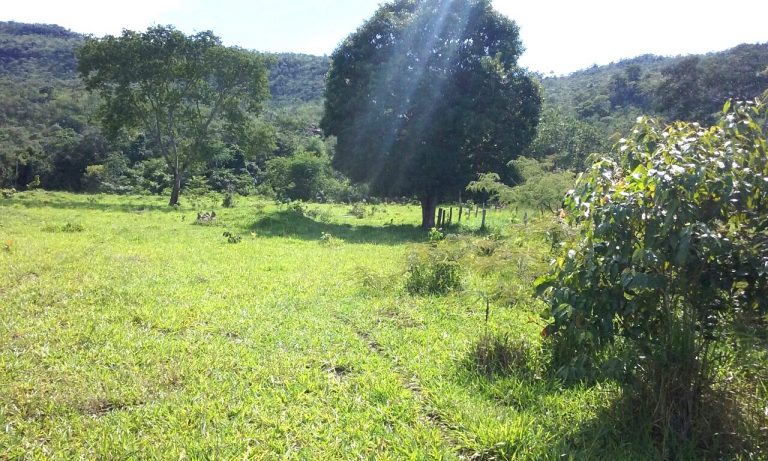 FAZENDA 65 ALQ. A 2KM DO ASFALTO – MINAÇU/GO