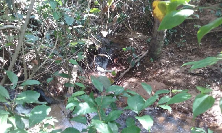 FAZENDA 65 ALQ. A 2KM DO ASFALTO – MINAÇU/GO