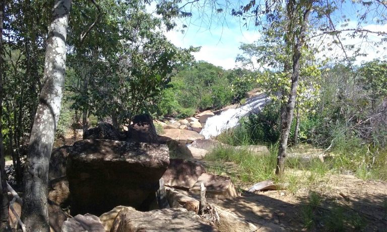 FAZENDA 65 ALQ. A 2KM DO ASFALTO – MINAÇU/GO