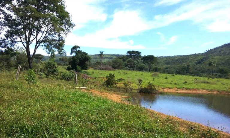 FAZENDA 65 ALQ. A 2KM DO ASFALTO – MINAÇU/GO
